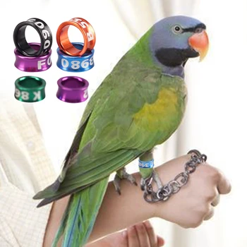 10ШТ Алюминиевое кольцо для ног птиц-попугаев, Идентификационная этикетка соревнований, кольцо для ног голубей с номером для тренировок на открытом воздухе