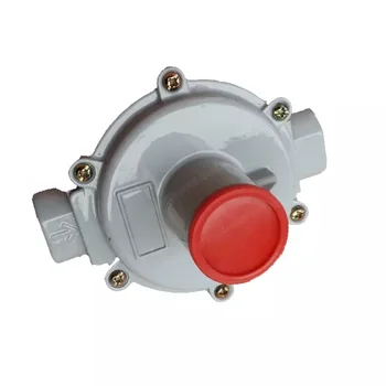 Редукционный клапан DN15 / внутренний провод на 4 минуты / бытовой клапан регулирования давления природного газа / регулятор давления газа