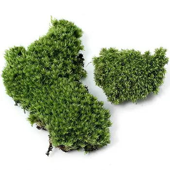 Мини-украшение Орнамент для домашней вечеринки Искусственная Зеленая трава Миниатюрное растение из Мха Искусственное растение миниатюрная Растительность moss Veget