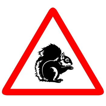 Предупреждение о животных Белка Животное Автомобильная Наклейка ПВХ Наклейка 14см *12см